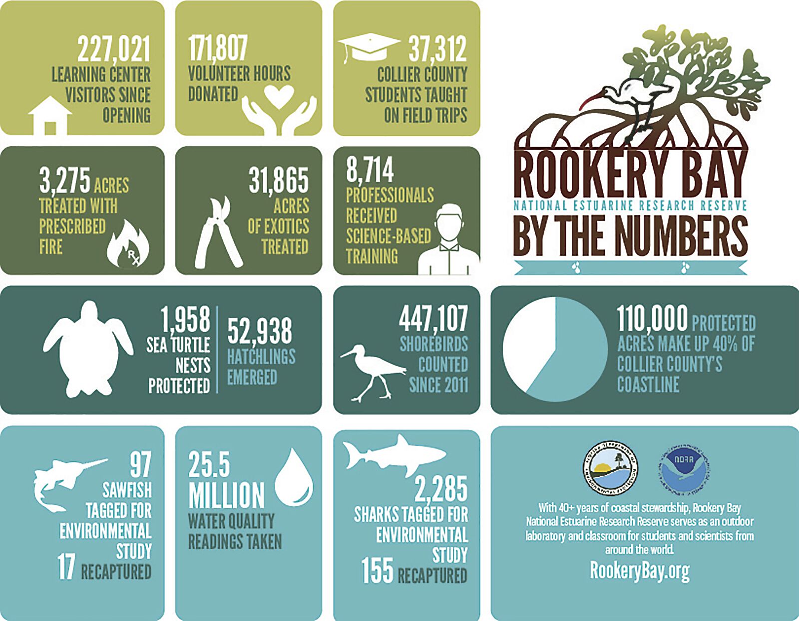 Rookery Bay Infographic